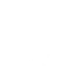 logo12