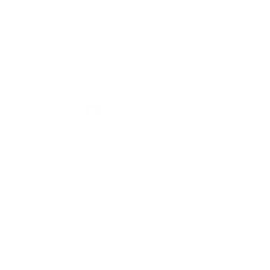 logo25